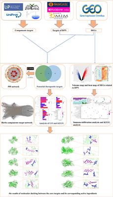 Exploring the molecular mechanism of Xuebifang in the treatment of diabetic peripheral neuropathy based on bioinformatics and network pharmacology